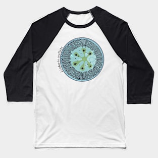 Diatom - Lindavia ocellata (scientific / icy) Baseball T-Shirt